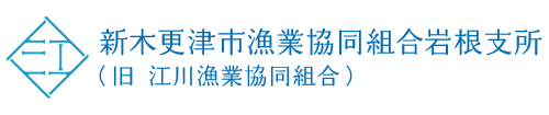 新木更津市漁業協同組合江川支所（旧　江川漁業協同組合）