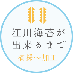 江川海苔が出来るまで